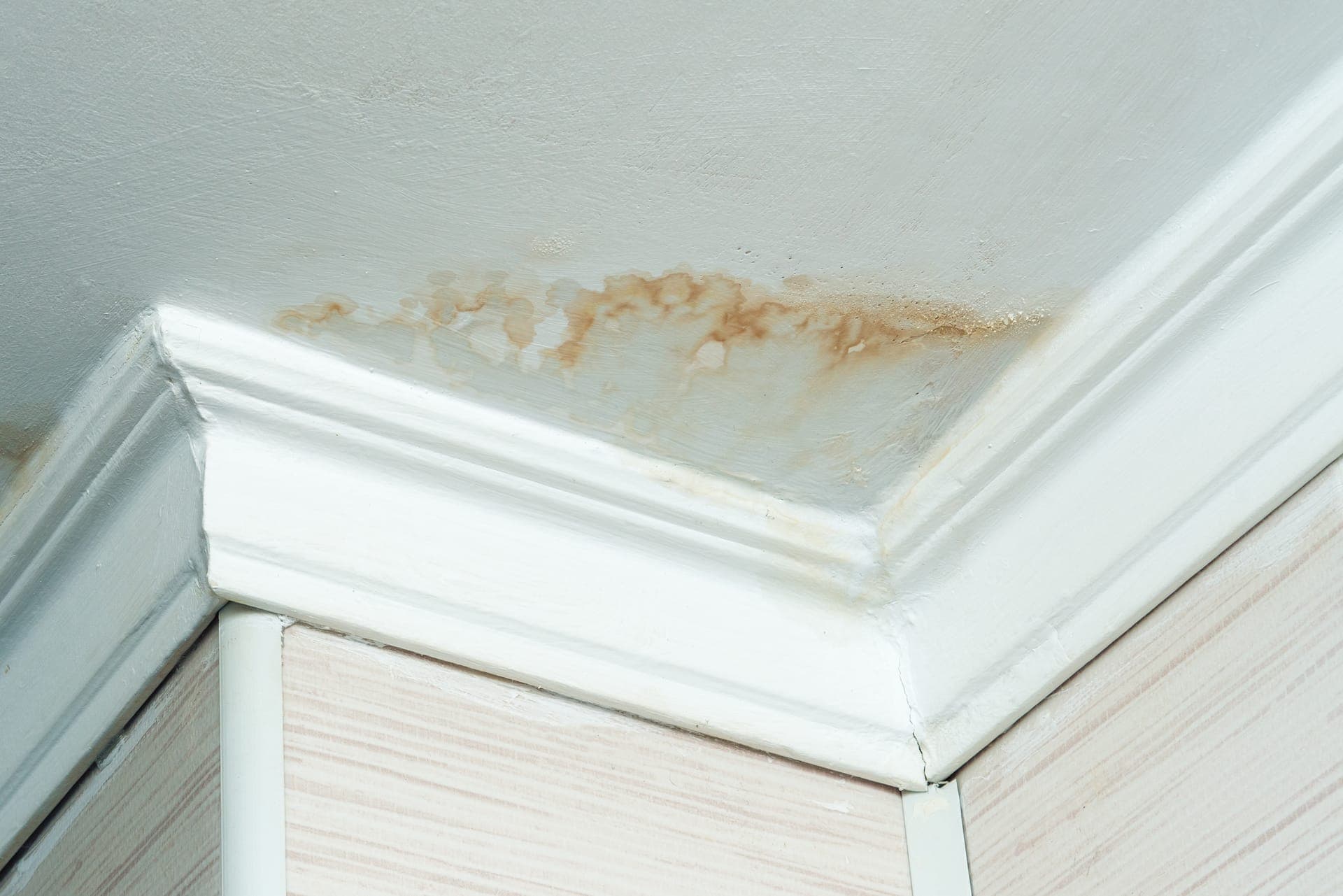 Close-up of a brown water stain spreading across a ceiling from a leak above