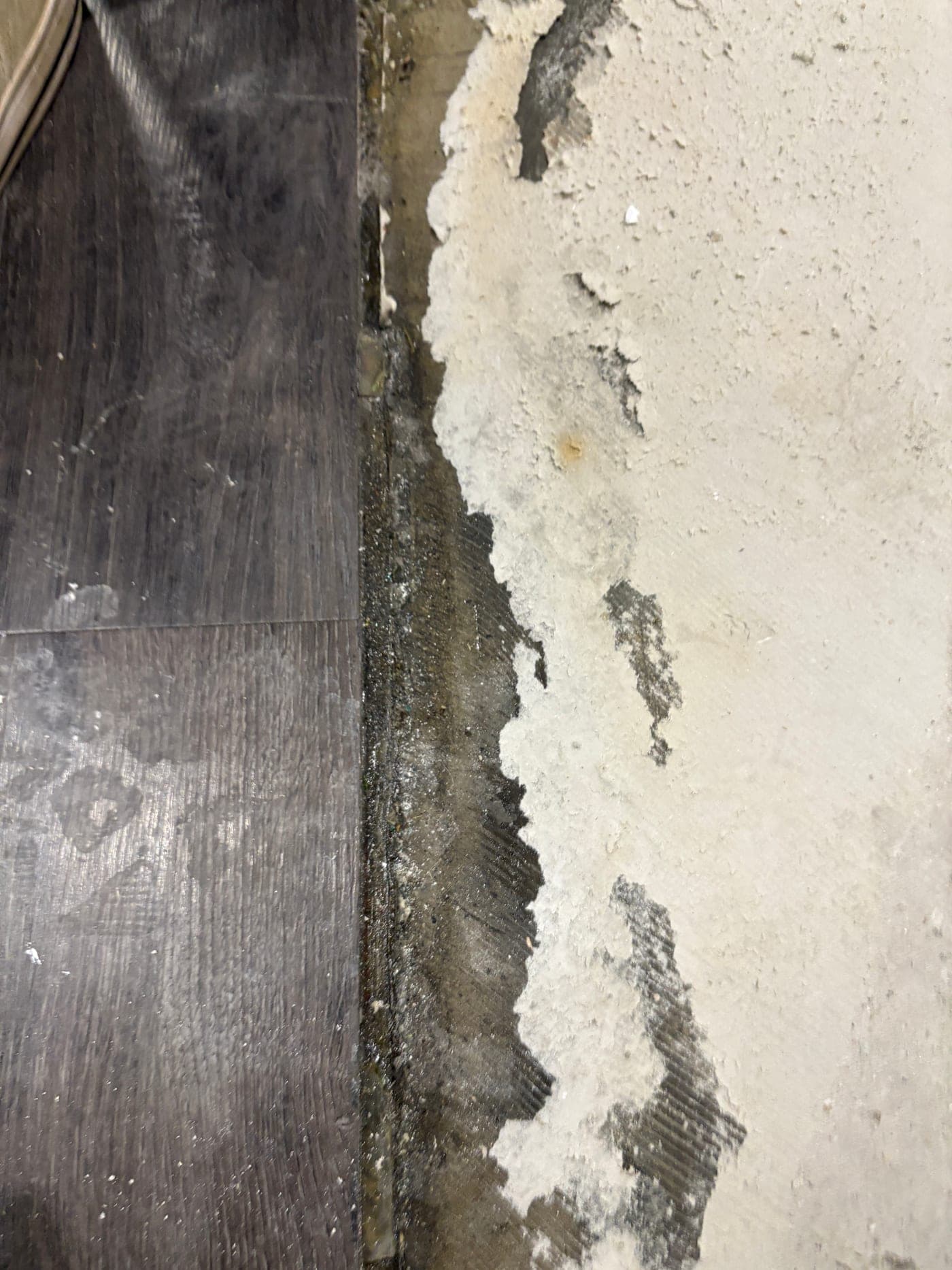 Mold and water damage documented at a wall base by Resolve Residential Restoration
