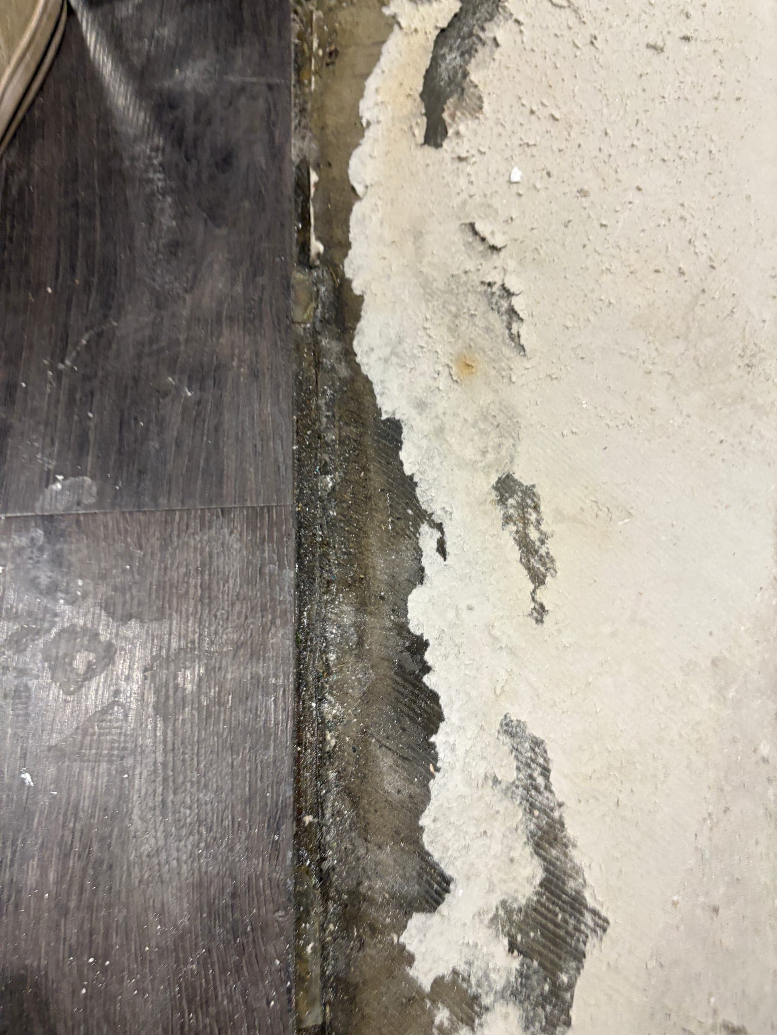 Water-deteriorated wall base and staining above the flooring documented on a Resolve Residential Restoration job
