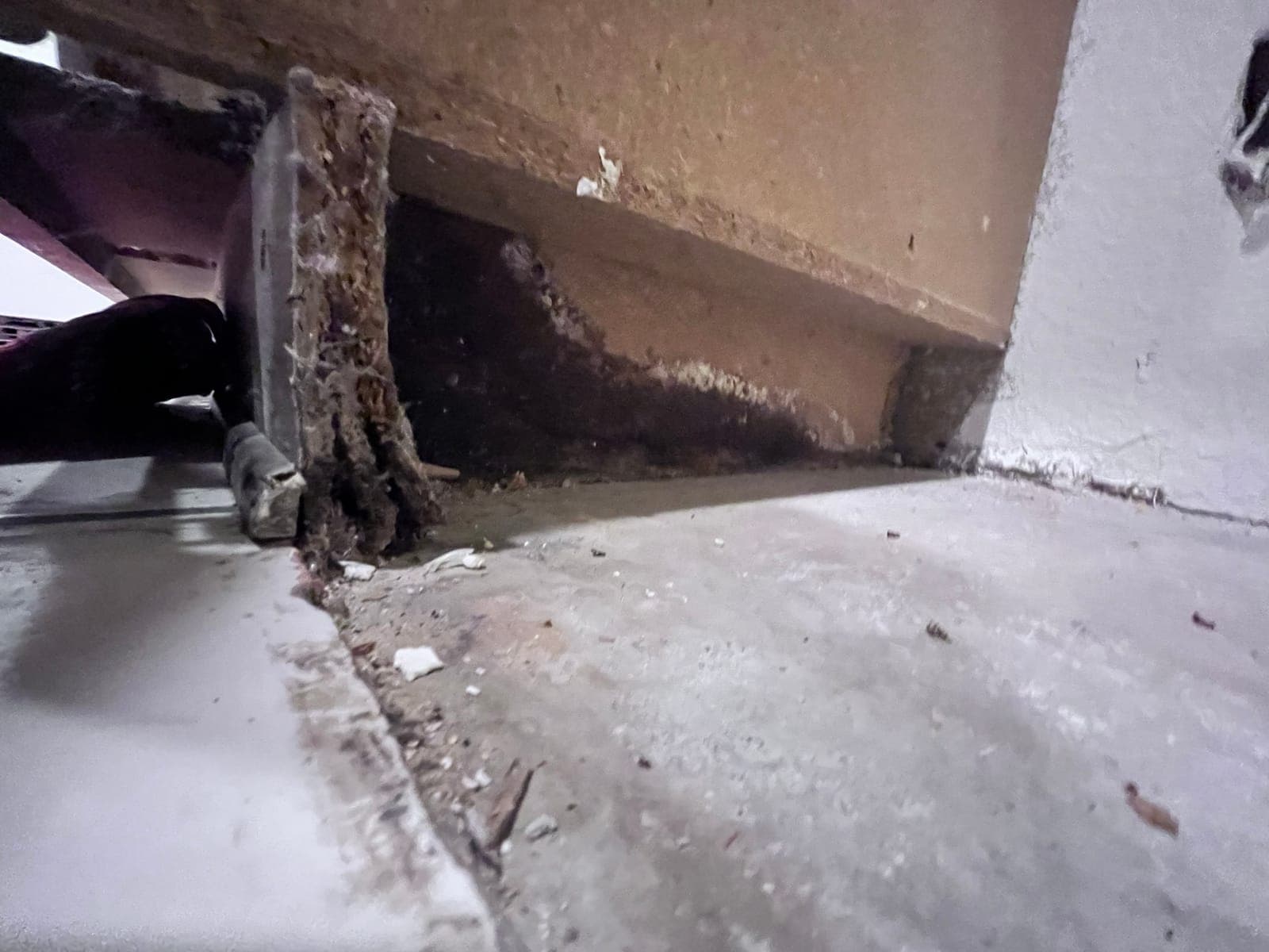 Close-up of moisture and deterioration at a concrete slab edge documented by Resolve Residential Restoration