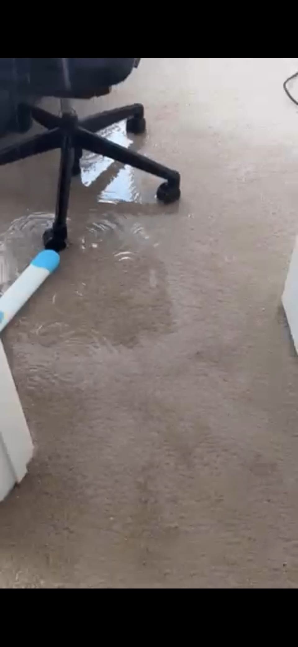 Standing water soaking carpet, documented before extraction on a Resolve Residential Restoration job